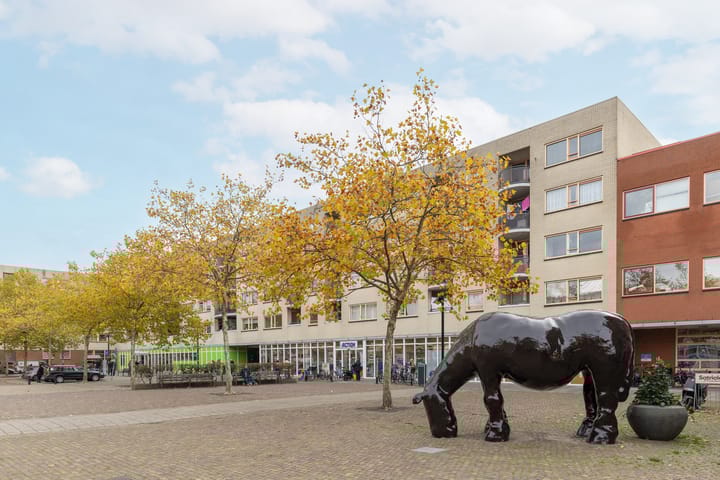 Foto 51 van Chrysantstraat 22