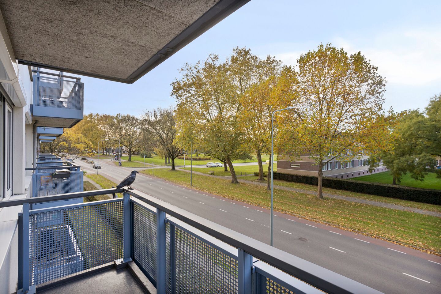 Foto 4 van Florijnruwe 88-C