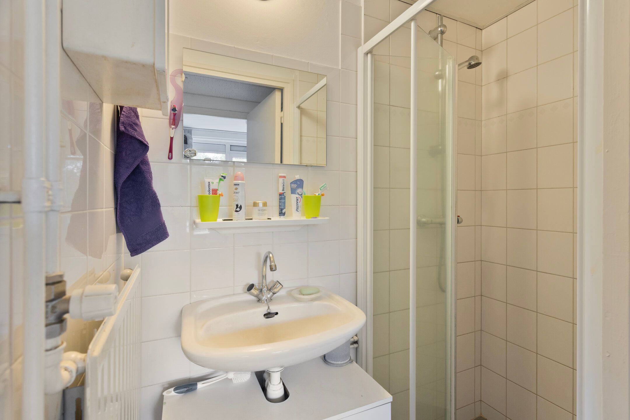 Foto 12 van Florijnruwe 88-C