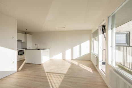 De Brink 84 tertiary image