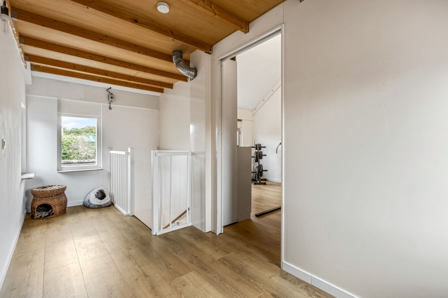 Foto 34 van Zuiderhout 3