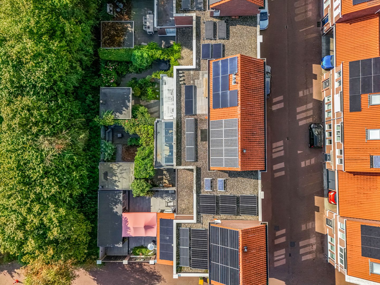 Foto 55 van Zuiderhout 3