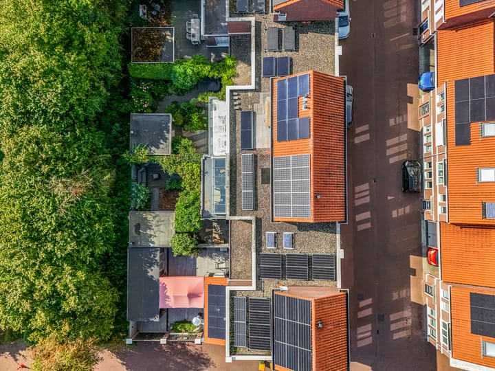 Foto 55 van Zuiderhout 3