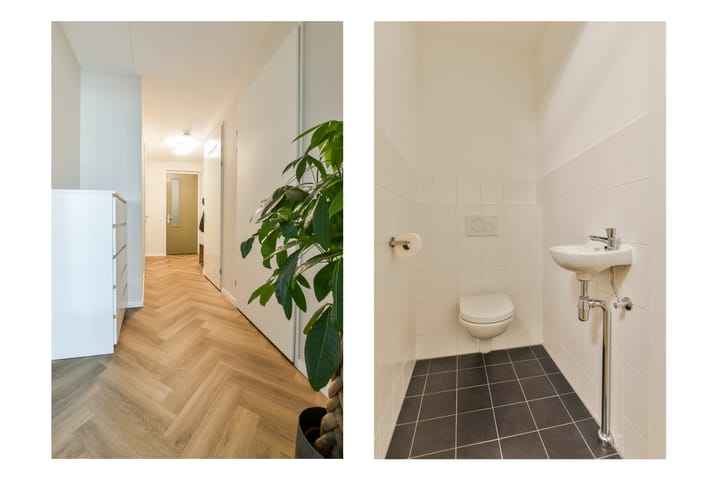 Photo 19 of Galileistate 65