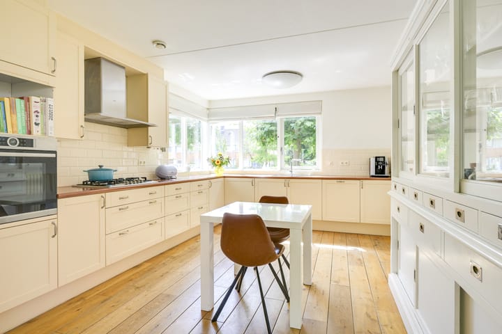 Foto 6 van Patriottenland 37