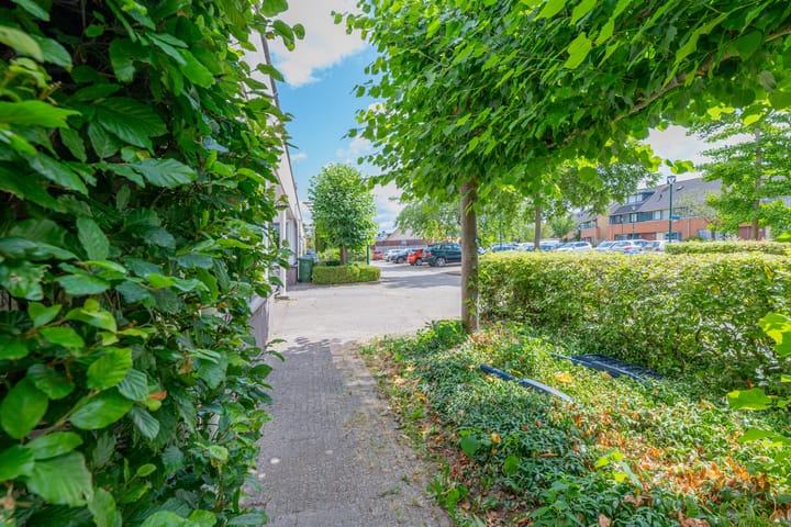 Foto 29 van Patriottenland 37