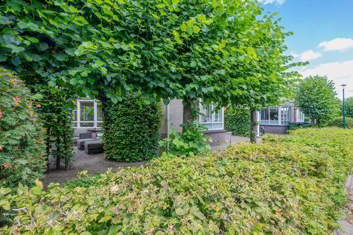 Foto 59 van Patriottenland 37