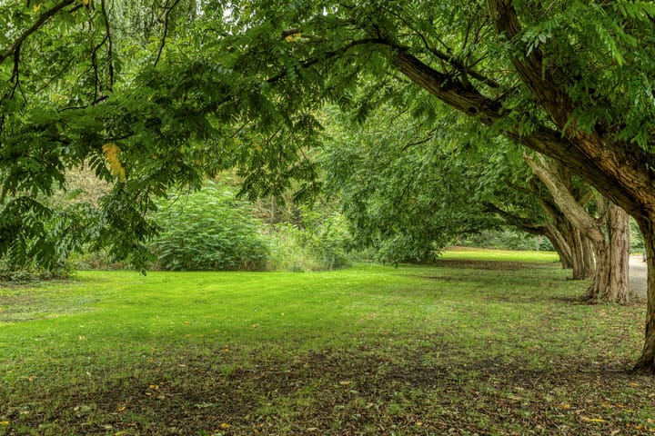 Photo 21 of Dokter Bauerstraat 162