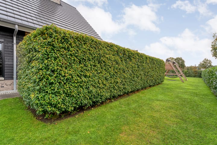 Photo 95 of Markeboek 1