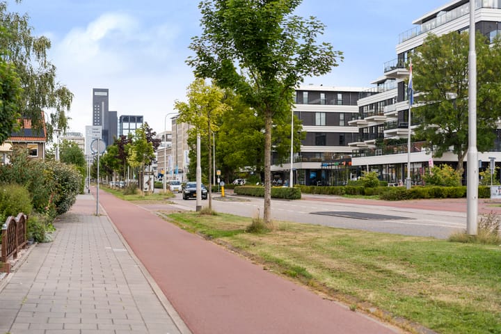 Foto 48 van Tesselschadestraat 132