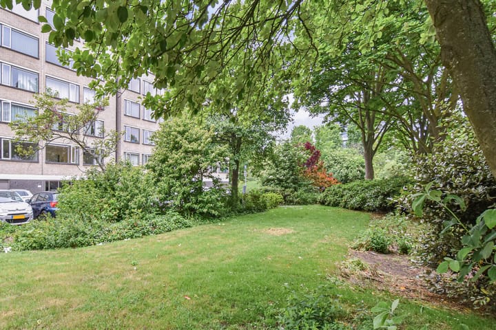 Foto 3 van Denijsstraat 119