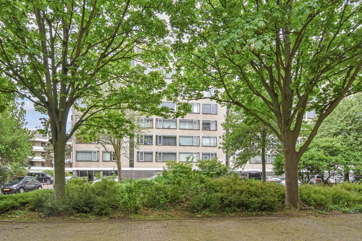 Foto 4 van Denijsstraat 119