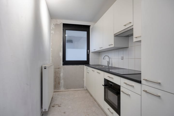 Foto 12 van Vuistbijl 47