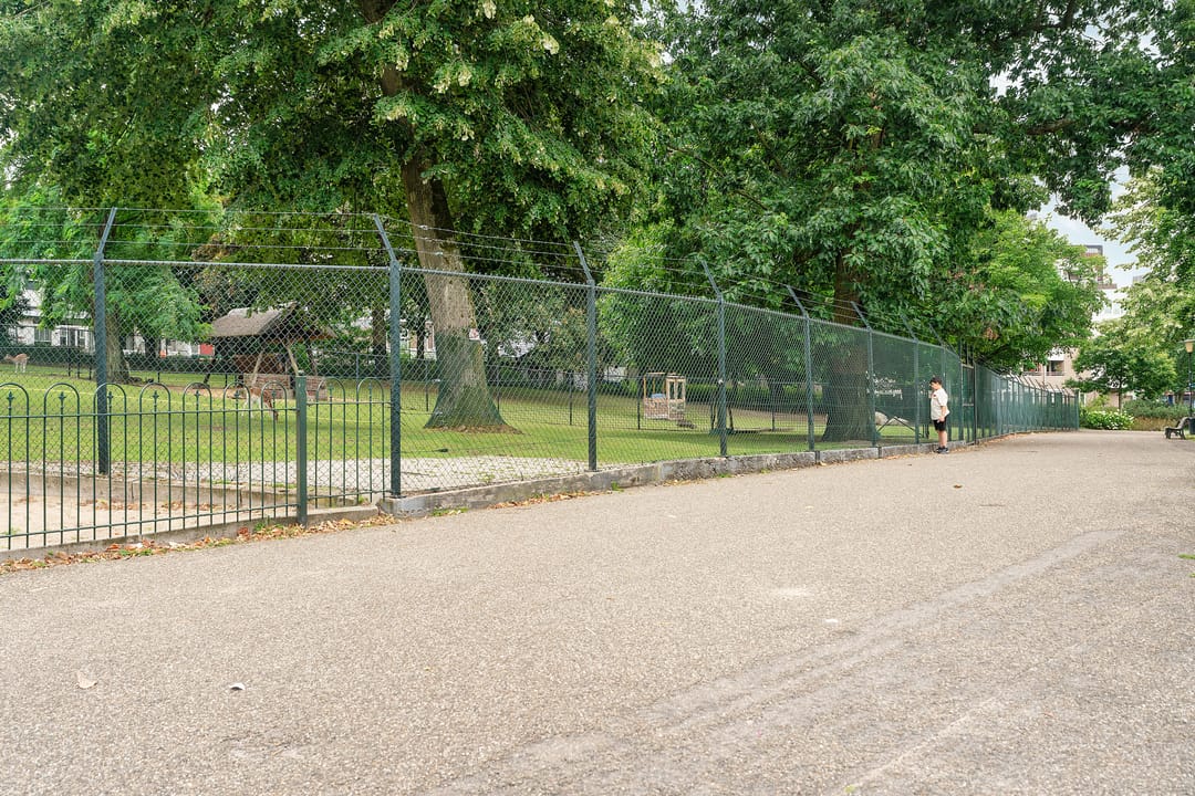 Foto 61 van Nieuwe Markt 12