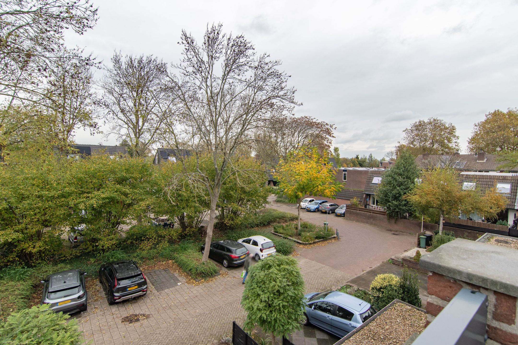 Foto 39 van Lavendeltuin 22