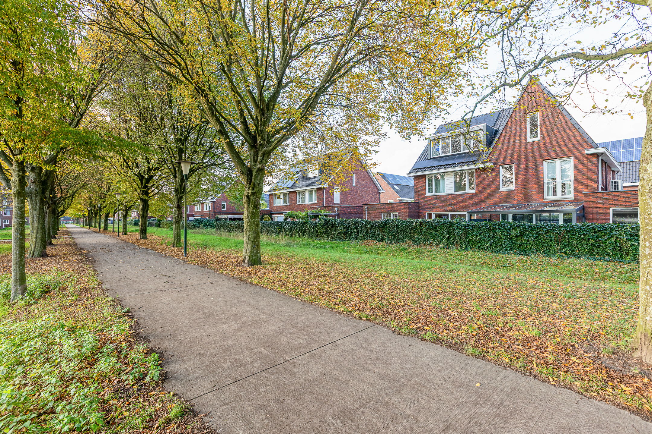 Foto 6 van Pianostraat 30