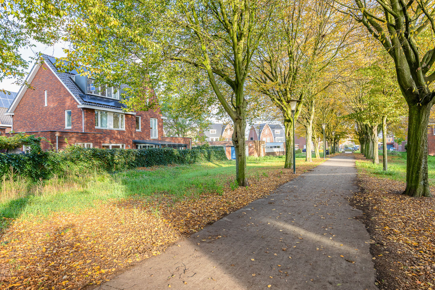 Foto 49 van Pianostraat 30