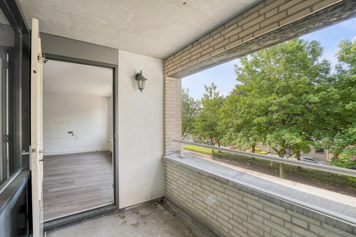 Foto 23 van Boksdoornerf 46