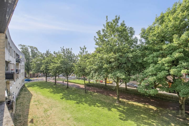 Foto 25 van Boksdoornerf 46