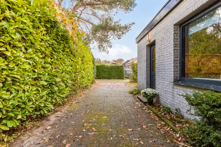 Photo 6 of Horizon 62