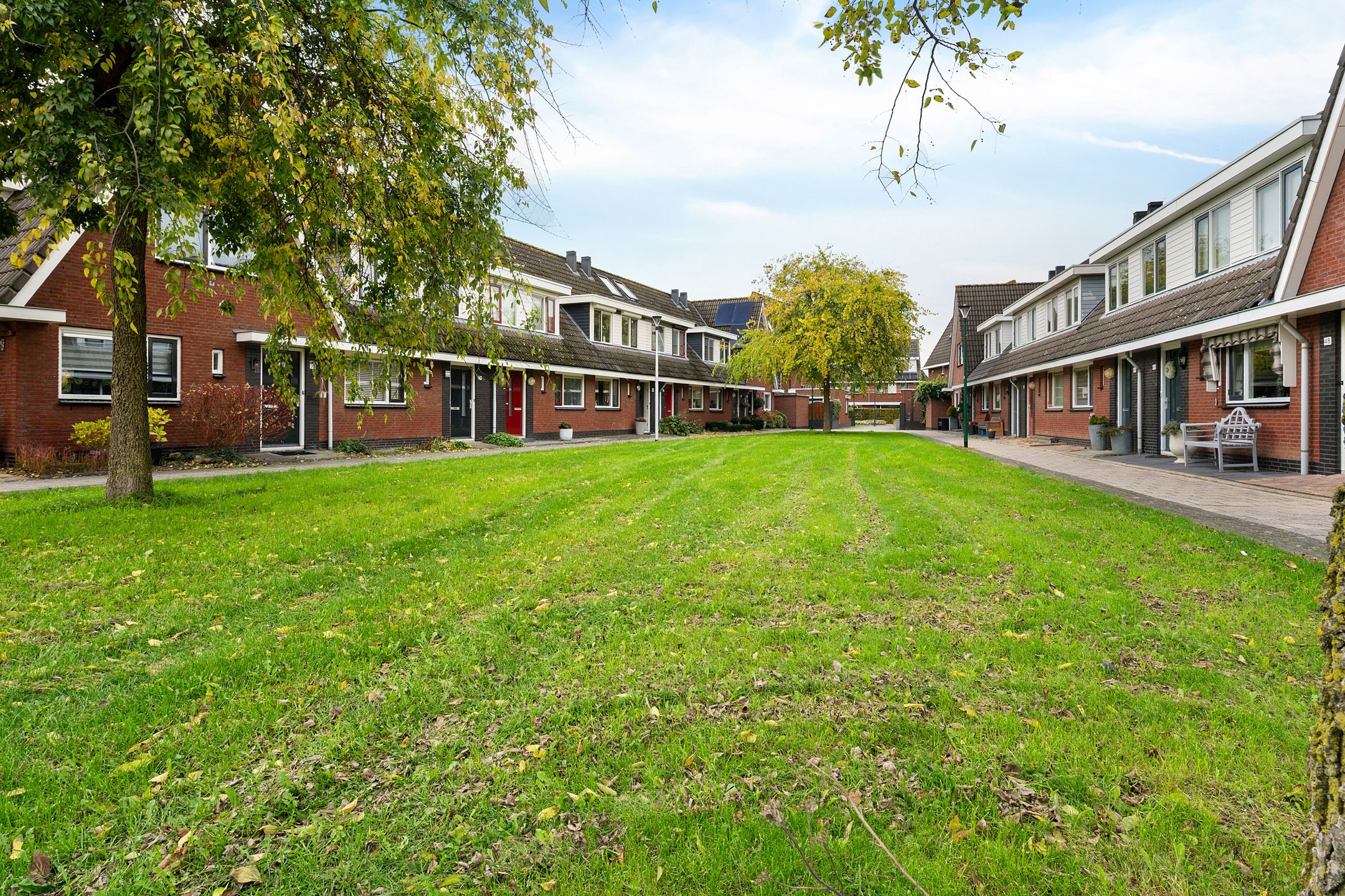 Foto 27 van Blauwgras 28