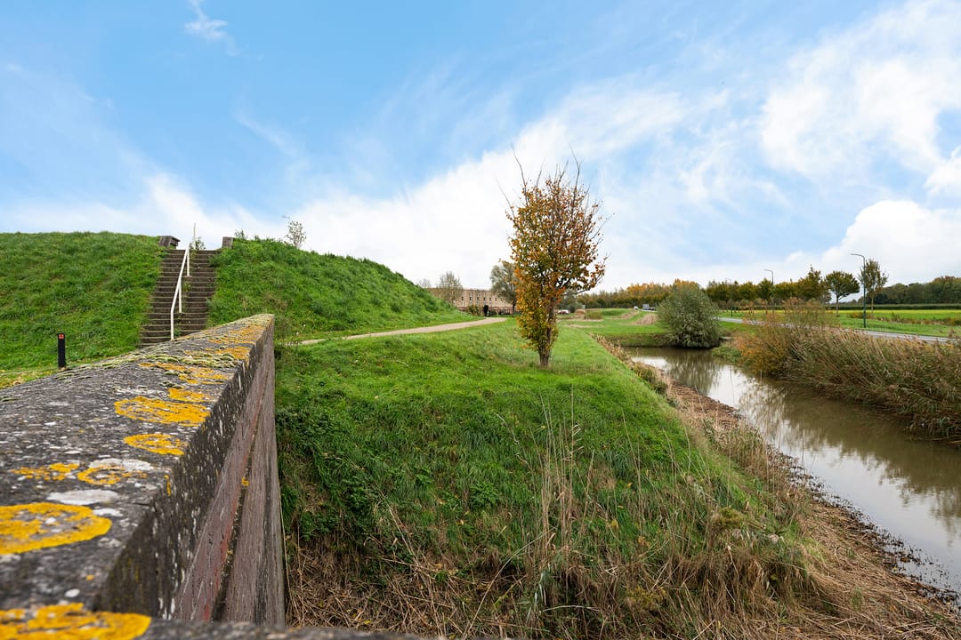 Foto 28 van Blauwgras 28