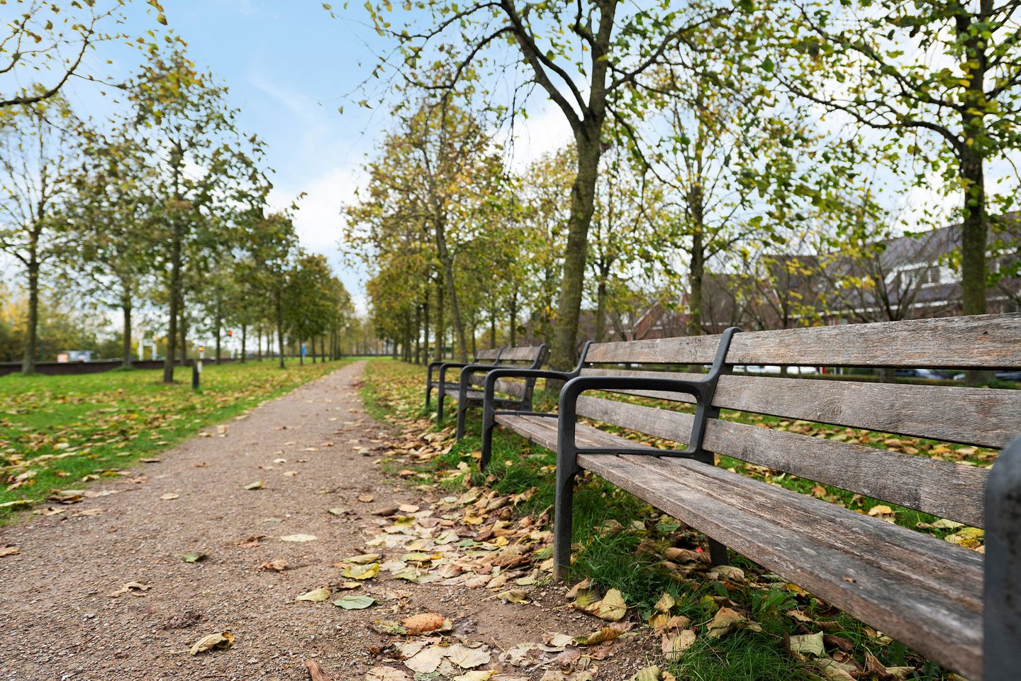 Foto 29 van Blauwgras 28