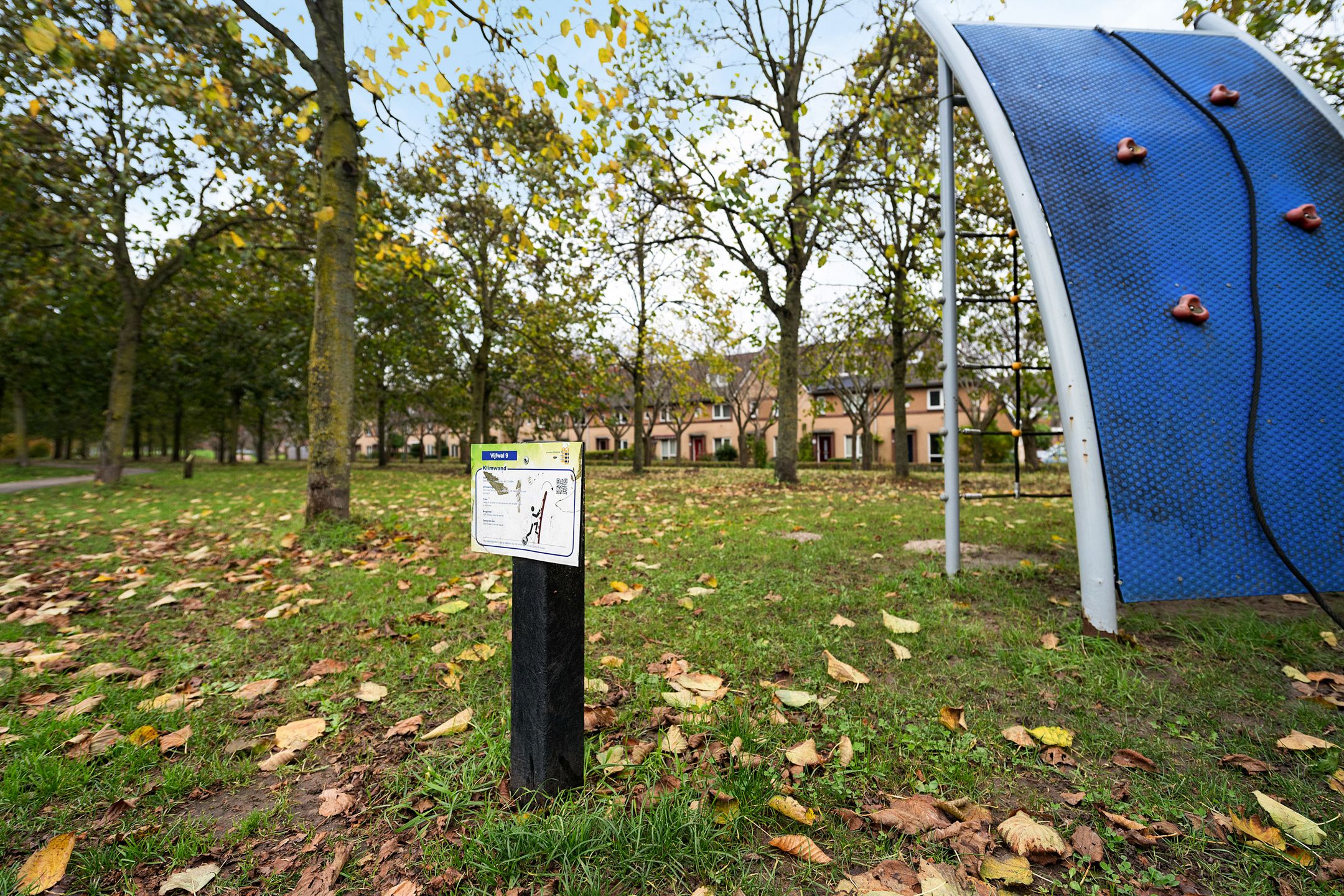 Foto 30 van Blauwgras 28