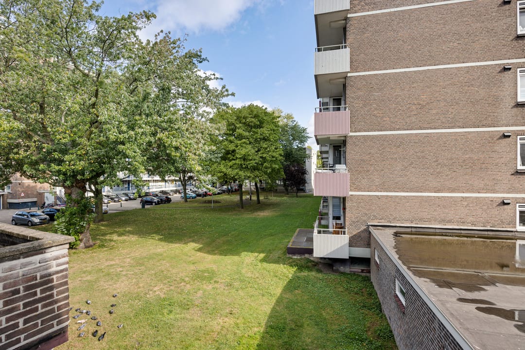 Foto 22 van Schiedamseweg 179-B