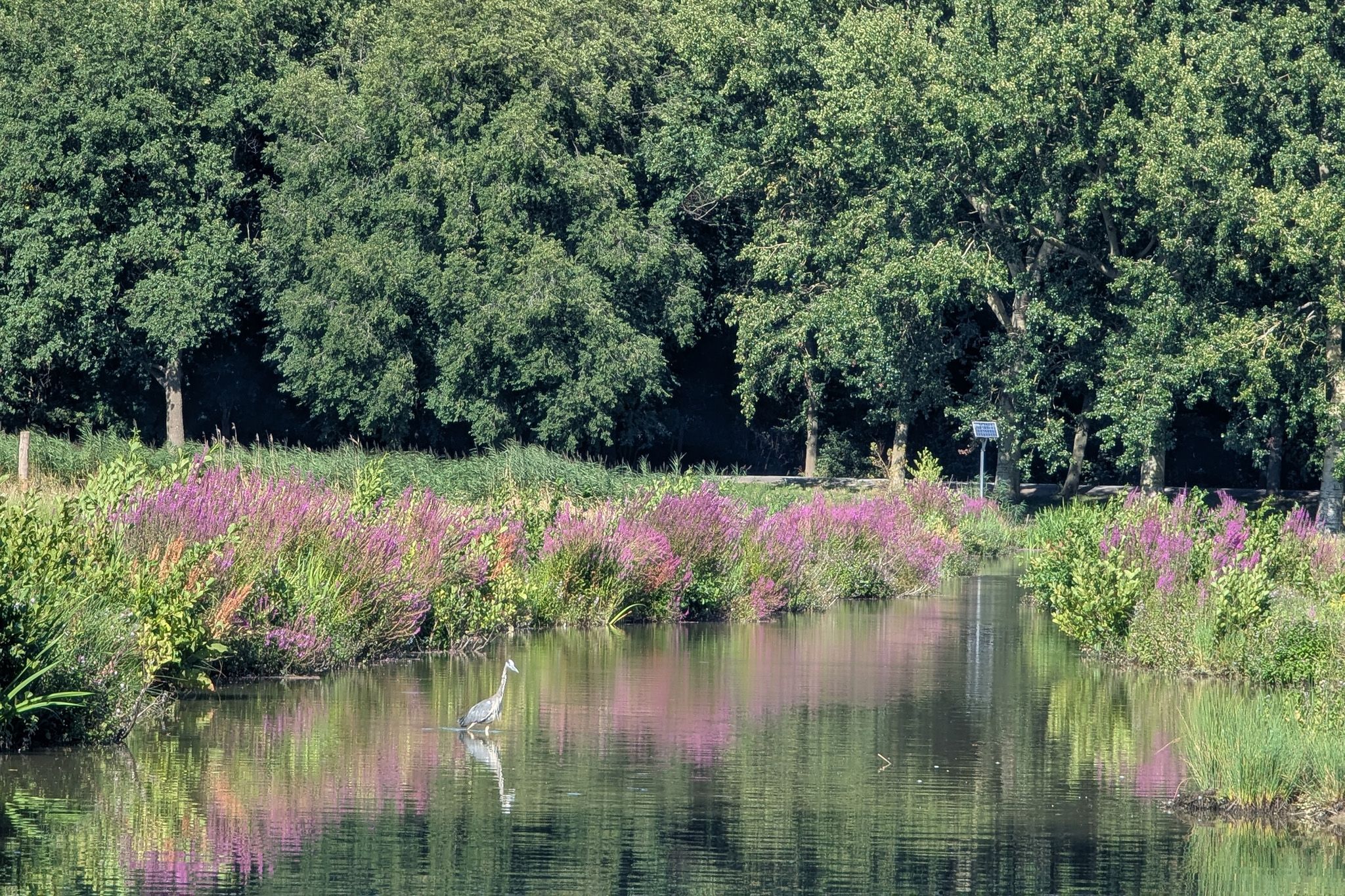 Foto 21 van Melis Stokezijde 123