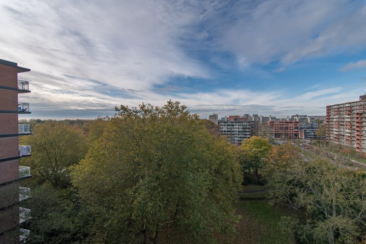 Foto 8 van Binnenwater 77