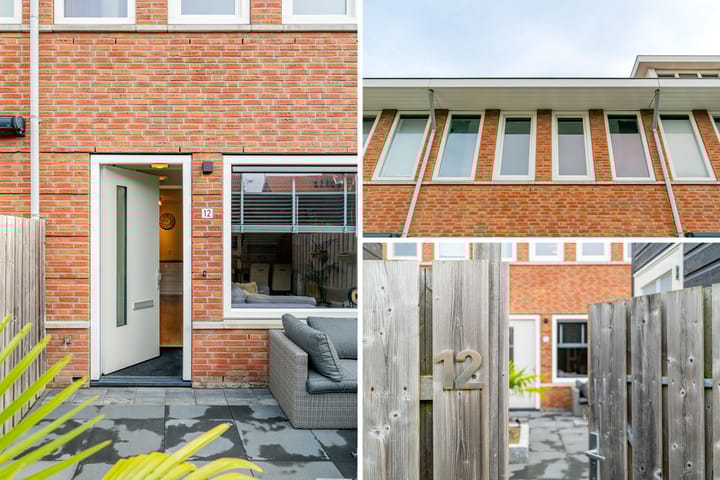 Foto 6 van Krokus 12