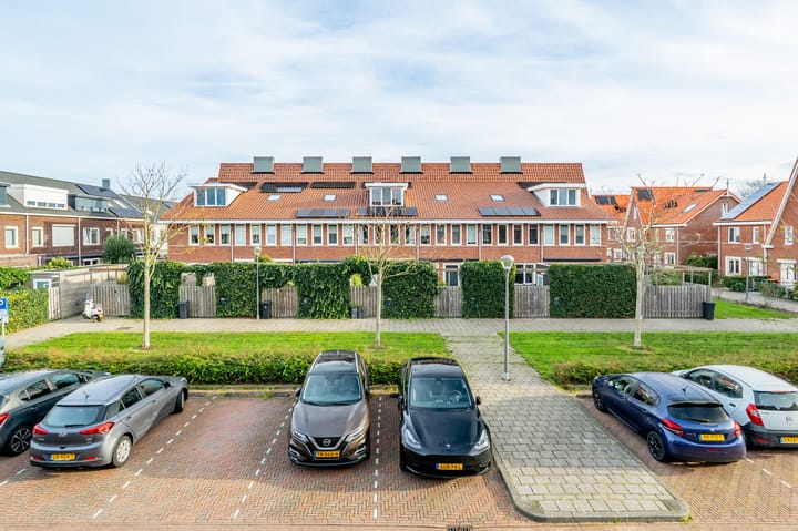 Foto 41 van Krokus 12