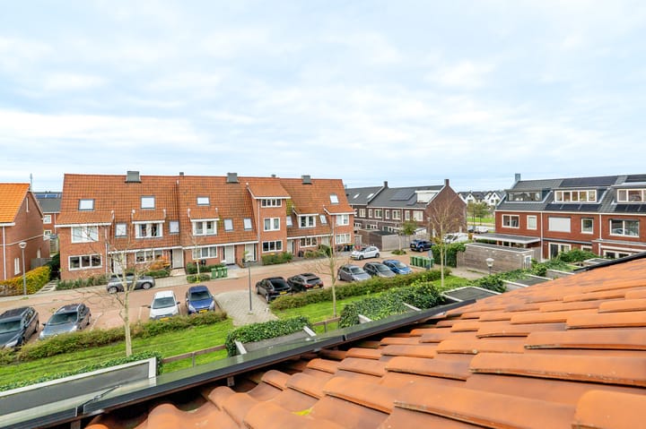 Foto 44 van Krokus 12