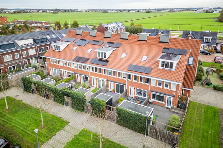 Foto 48 van Krokus 12