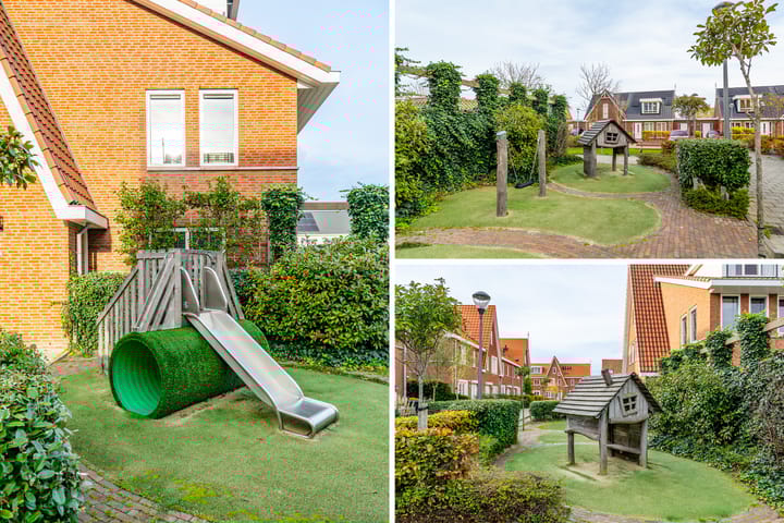 Foto 49 van Krokus 12