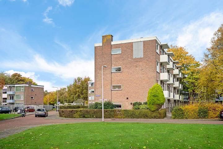 Foto 28 van Hornstraat 6