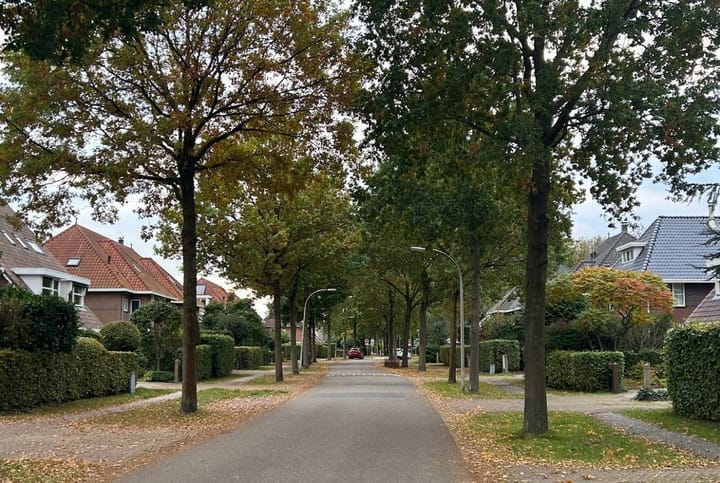 Foto 37 van Boswinde 13