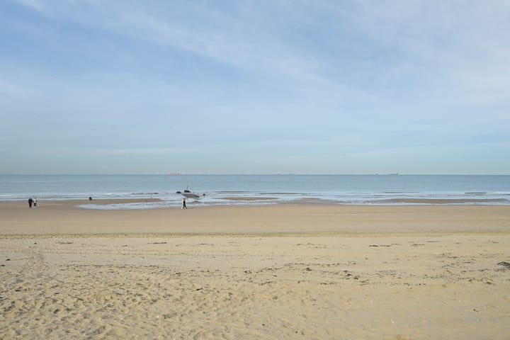 Foto 29 van Zeekant 101-C