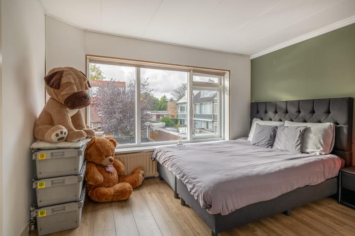 Photo 37 of Willems Fopsstraat 2