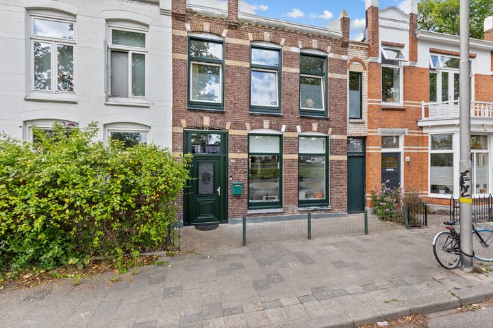 Photo 43 of Willem Lodewijkstraat 125