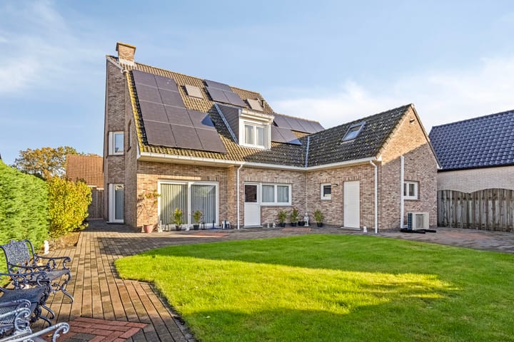 Photo 4 of Vlasbloem 4