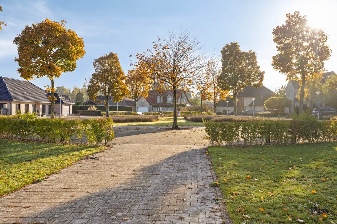 Photo 32 of Vlasbloem 4