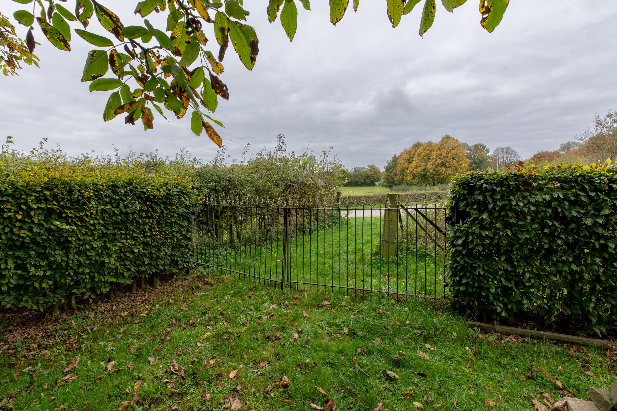 Foto 39 van Vroenhof 111