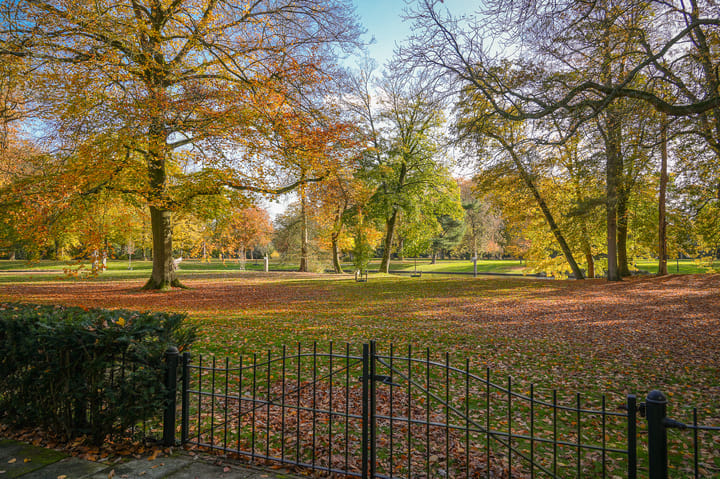 Photo 26 of Park Reeburg 7