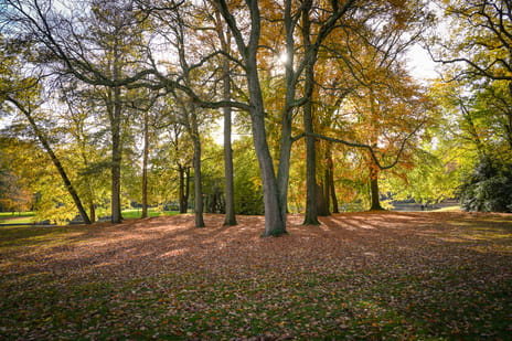 Park Reeburg 7 tertiary image