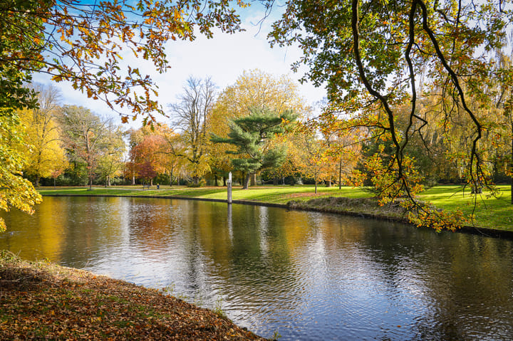 Photo 38 of Park Reeburg 7