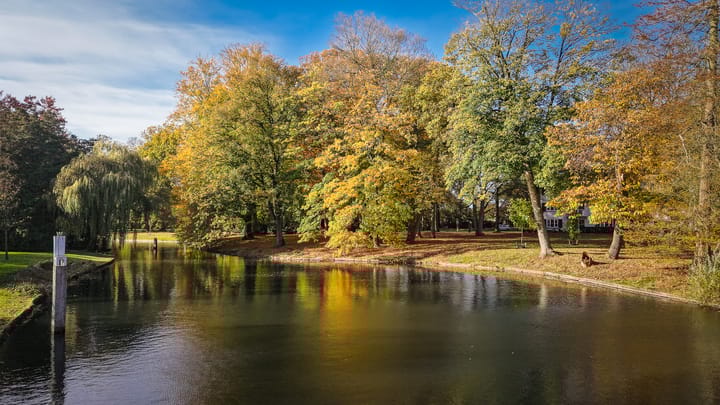 Photo 41 of Park Reeburg 7