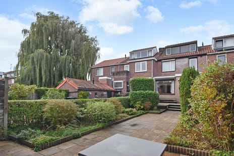 undefined main image