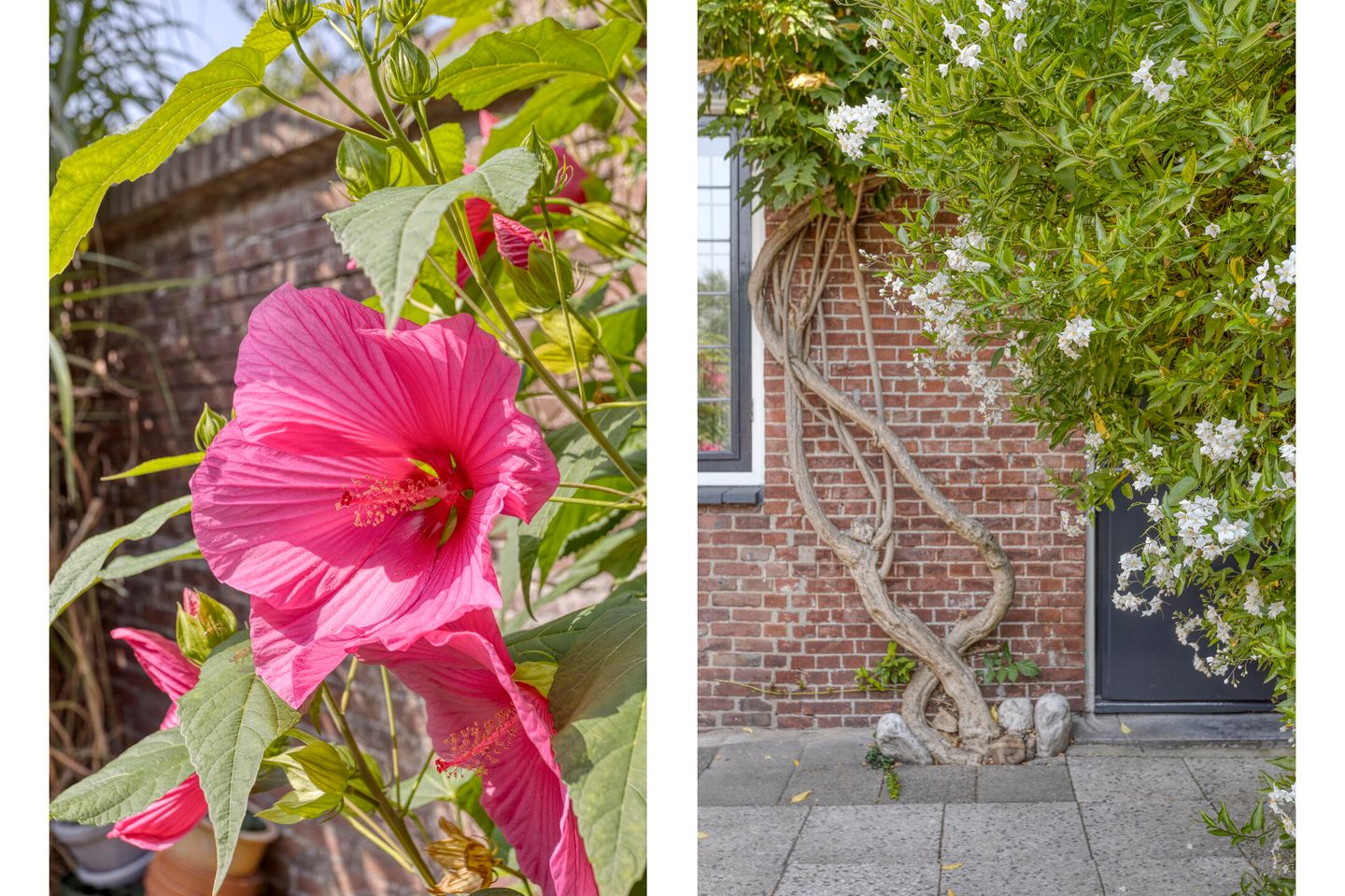 Foto 40 van Sint Josephstraat 72